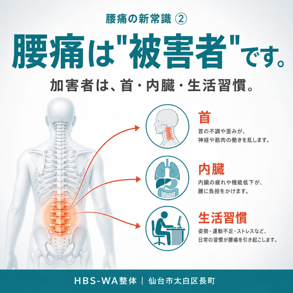 腰痛の「常識」が変わる　第2章 〜その痛み、本当に「骨」や「筋肉」だけのせいですか？〜